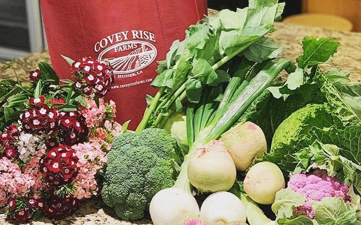 Farm Covey Rise Lodge Husser, Louisiana